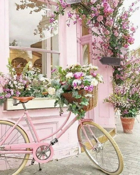 Діамантова мозаїка Прованський стиль My-Art TN129 (40 x 50 см) на підрамнику, фото 1