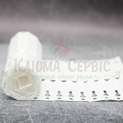 Бірка для рослин Петелька Tyvek 12.7x220 мм, фото 1