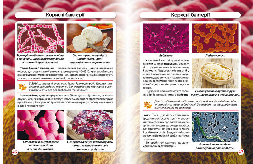 Книга Світ навколо нас. Бактерії | фотоенциклопедія, фото 2