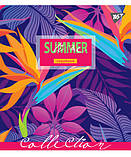 Набір шкільних зошитів  96 аркушів лінія YES Summer 5 штук, фото 3