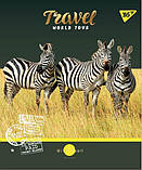 Набір шкільних зошитів  48 аркушів лінія YES Wild Animals 5 штук, фото 3