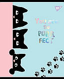 Набір шкільних зошитів  48 аркушів клітинка YES Playful Kitties 5 штук, фото 4