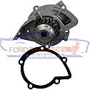 Помпа охолодження Ford 2.0 TDCi DW10/DW10C 05-, пряма, фото 4