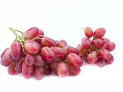 Саджанці винограду " ЯГУАР"