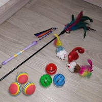 Набор игрушек махалка дразнилка мячи для кота 11 шт разноцветный