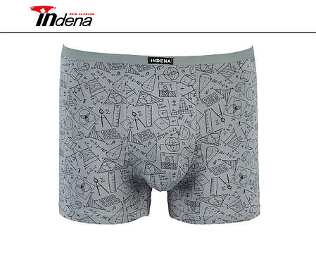 Чоловічі боксери з бамбука Марка "INDENA" Арт.205333, фото 1