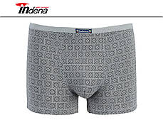 Труси на Хлопчика Боксери Стрейчеві Марка "INDENA" АРТ.205507, фото 4