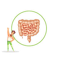 Препарати для шлунку і кишечнику