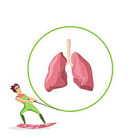 Препарати для очищення легенів і бронхів