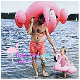 Надувний дитячий коло коло-ходунки Рожевий Фламінго з трусиками, фото 8
