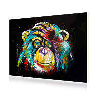 Go Картина розмальовка на полотні за номерами PH-9215 Райдужна Мавпа Тварини 40-50 см набір для творчості