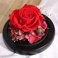 Go Стабілізована троянда в скляній колбі вишуканий презент L-1346 Red нев'януча квітка