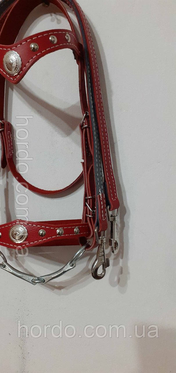 Зручка для поні осіння гуцула з приводом, фото 1