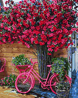 Картина по номерам Mariposa Велосипед на цветочном фоне (MR-Q2270) 40 х 50 см