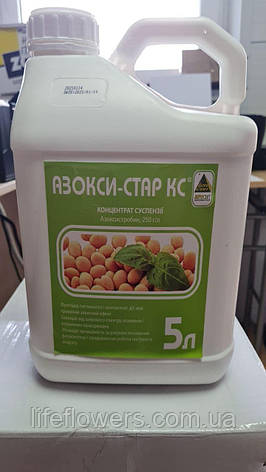 Фунгіцид системної та контактної дії АЗОКСІ-СТАР®, фото 1