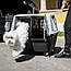 Stefanplast (Стефанпласт) Gulliver Touring IATA - Переноска для подорожей тварин вагою до 25 кг, 80х58х62см., фото 7