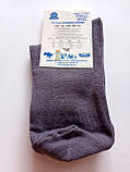 Дитячі демісезонні шкарпетки ХОМА ЖИТОМИР р. 16-18 ПОЛОСА - темно-сірий / шкарпетки весна-осінь, фото 2
