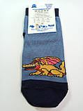 Дитячі демісезонні шкарпетки ХОМА ЖИТОМИР р. 16-18 ДРАКОН - сіро-голубий / шкарпетки весна-осінь, фото 2