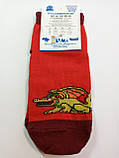 Дитячі демісезонні шкарпетки ХОМА ЖИТОМИР р. 16-18 ДРАКОН - червоний / шкарпетки весна-осінь, фото 2