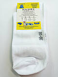 Дитячі демісезонні шкарпетки ХОМА ЖИТОМИР р. 16-18 ЗНАК - білий / шкарпетки весна-осінь, фото 2
