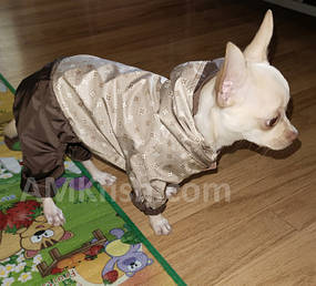 Дощовик для собак M-47 Dogs Bomba, модель унісекс Детальніше: https://amkfish.prom.ua/p1350064249-dozhdevik-dlya-sobak.html