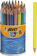 Цветные карандаши BIC Kids Evolution ECOlutions Triangular Colouring Pencils 48 шт. (8297361)