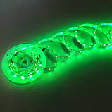 Світлодіодна стрічка зелена LED з клейкою основою 8 мм 4,8 W/м 60 LED/м IP20 MTK-300G3528-12, фото 2