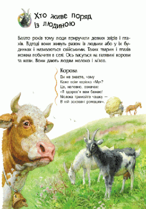 Ранок Енцик. дошкільника (Тварини) (У), фото 5
