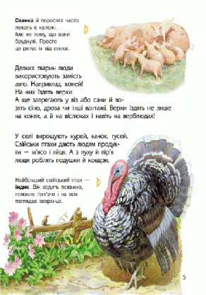 Ранок Енцик. дошкільника (Тварини) (У), фото 4