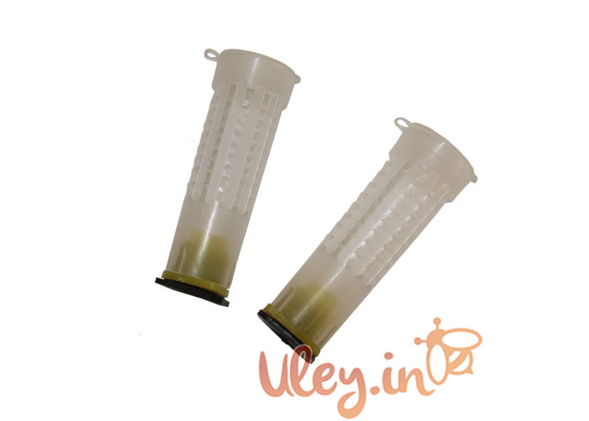 Клітинка Бігуді +тримач +цоколь для мисочки, фото 1