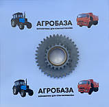 Шестірня проміжна ЮМЗ з бронзовою втулкою Z=40/20 40-1701056, фото 2