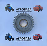 Шестірня проміжна ЮМЗ з бронзовою втулкою Z=40/20 40-1701056, фото 3