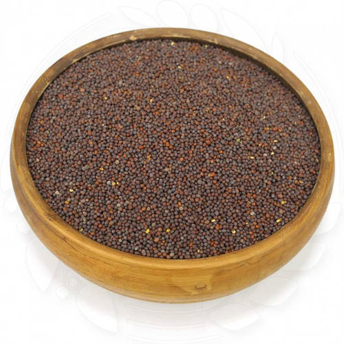 Горчица черная натуральная 100 кг (ID#1427489520), цена: 11596 ...