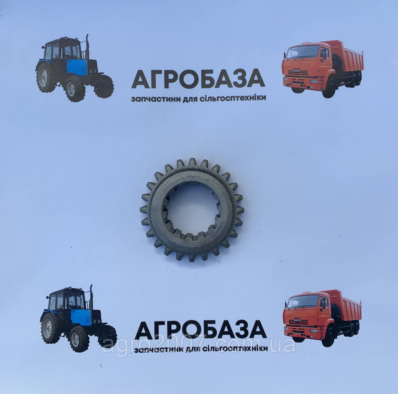 Колесо зубчасте 1 передавання ЮМЗ 40-1701054 Z=24 Білорусь, фото 1