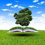 Вивіз макулатури у Києві та Київській області, фото 7