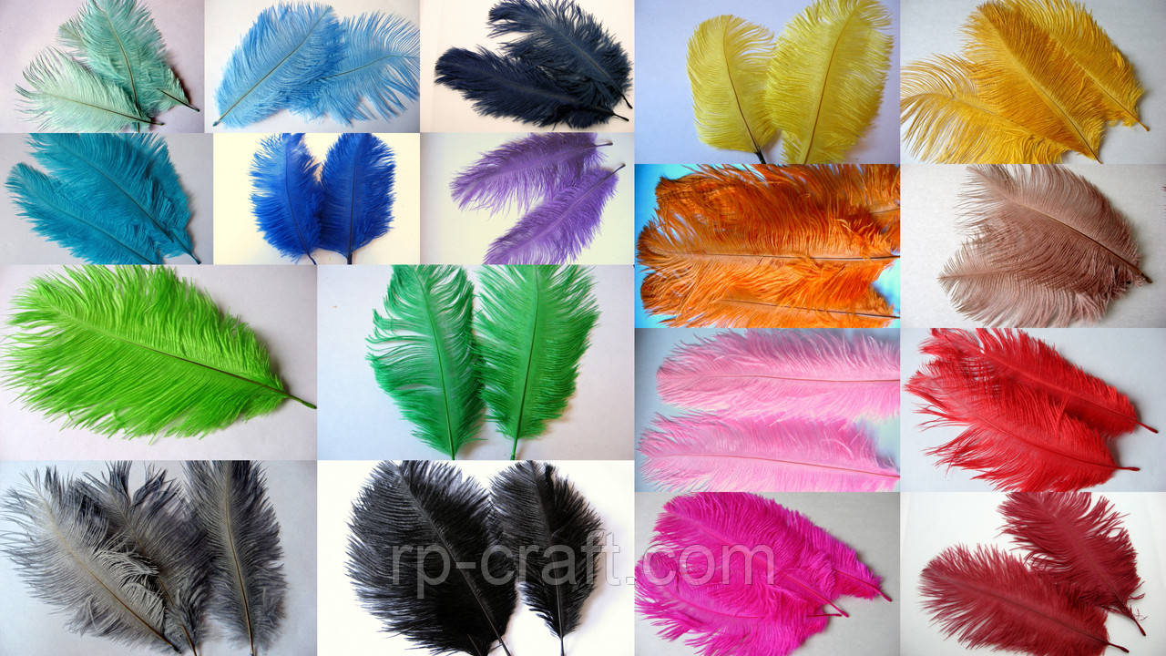 Перо страуса, від 13 до 23 см, фото 1