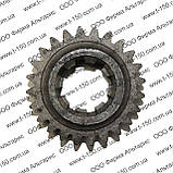 Шестерня приводу валу заднього ходу Т-150 Z=24, 150.37.274-3, фото 2