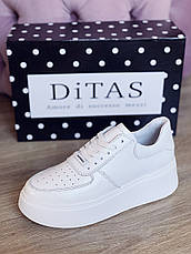 Білі кеди на платформі 2021 Ditas White жіночі, фото 5