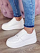Білі кеди на платформі 2021 Ditas White жіночі, фото 6