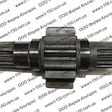 Шестірня тягова ліва МТЗ-80, довга, 70-2407053, фото 3