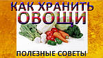 Як зберігати овочі і фрукти?