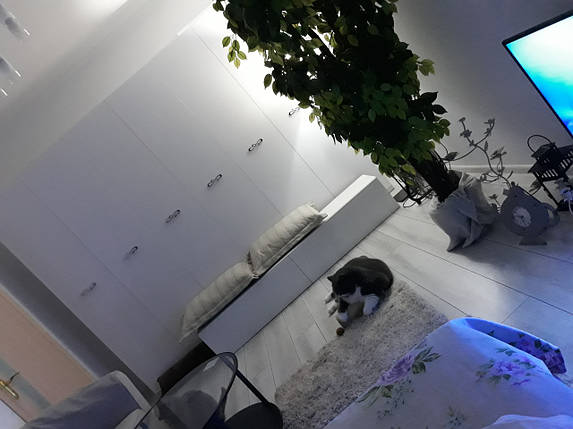 ТВ Тумба VIGO RTV Cama 180 Белый Мат / Белый Глянец, фото 2