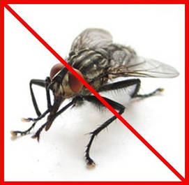 Засоби від мух