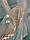 Тюль із вертикальними смужками персикового кольору, фото 4