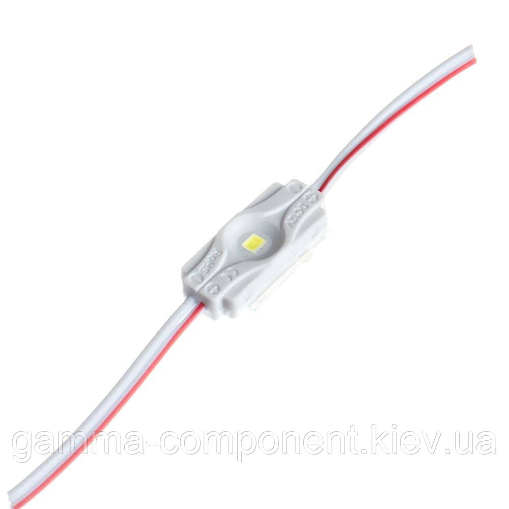 Світлодіодний модуль (кластер) SMD2835, 1led, 1W, холодний білий, 12В, IP65