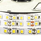 Світлодіодна стрічка 12 В AVT PROFESSIONAL SMD 2835 (120 LED/м), білий теплий, IP20 - бобіни 50 метрів, фото 4