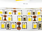 Світлодіодна стрічка SMD 2835 (120 LED/м), білий, IP20, 12В, бобіни від 5 м, фото 3