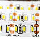 Світлодіодна стрічка AVT PROFESSIONAL SMD 3014 (204 LED/м), IP20, 12В - бобіни від 5 метрів, фото 4