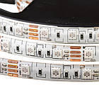 Світлодіодна стрічка SMD 5050 RGB (60 LED/м), IP20, 12В - бобіни від 5 метрів, фото 3