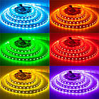 Світлодіодна стрічка SMD 5050 RGB (60 LED/м), IP20, 12В - бобіни від 5 метрів, фото 4